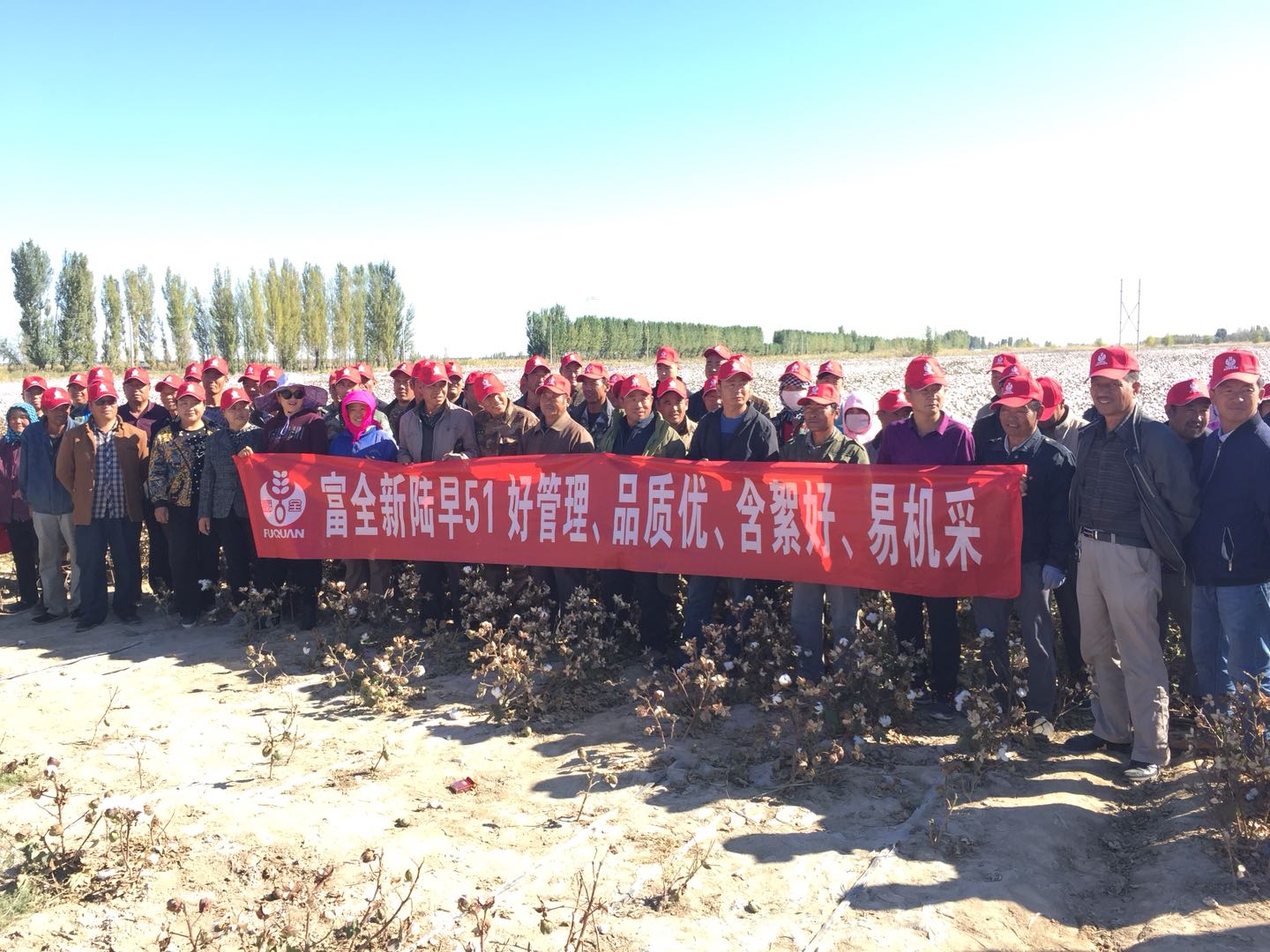 新陸早51號(hào)